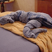 Picture 035